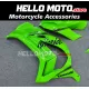 Kawasaki ZX-10R 2016-2020 Fairing P/N 4M16
