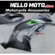 Kawasaki ZX-10R 2016-2020 Fairing P/N 4M17