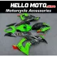 Kawasaki ZX-10R 2016-2020 Fairing P/N 4M19