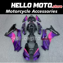 Kawasaki ZX-10R 2021-2025 Fairing P/N 4N3