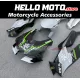Kawasaki ZX-10R 2021-2025 Fairing P/N 4N11