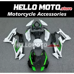 Kawasaki ZX-10R 2021-2025 Fairing P/N 4N6