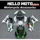 Kawasaki ZX-10R 2021-2025 Fairing P/N 4N6
