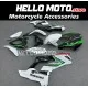 Kawasaki ZX-10R 2021-2025 Fairing P/N 4N6