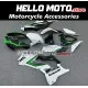 Kawasaki ZX-10R 2021-2025 Fairing P/N 4N6