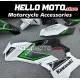 Kawasaki ZX-10R 2021-2025 Fairing P/N 4N6