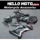 Kawasaki ZX-10R 2021-2025 Fairing P/N 4N2