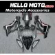 Kawasaki ZX-10R 2021-2025 Fairing P/N 4N2