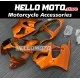 Kawasaki ZX-6R 636 2000-2002 / ZZR 600 2006-2008 Fairing P/N 4B3 Kawasaki ZX-6R 636 2000-2002 / ZZR 600 2006-2008 Fairing P/N 4B3