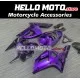 Kawasaki ZX-6R 636 2003-2004 Fairing P/N 4C3