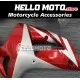 Kawasaki ZX-6R 636 2003-2004 Fairing P/N 4C5