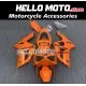 Kawasaki ZX-6R 636 2003-2004 Fairing P/N 4C6