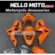 Kawasaki ZX-6R 636 2003-2004 Fairing P/N 4C6