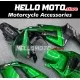 Kawasaki ZX-6R 636 2003-2004 Fairing P/N 4C7