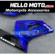 Kawasaki ZX-6R 636 2003-2004 Fairing P/N 4C13