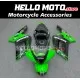 Kawasaki ZX-6R 636 2003-2004 Fairing P/N 4C11