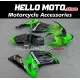 Kawasaki ZX-6R 636 2003-2004 Fairing P/N 4C11