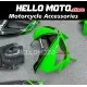 Kawasaki ZX-6R 636 2003-2004 Fairing P/N 4C11