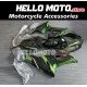 Kawasaki ZX-6R 636 2005-2006 Fairing P/N 4D2