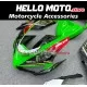 Kawasaki ZX-6R 636 2005-2006 Fairing P/N 4D24