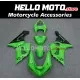Kawasaki ZX-6R 636 2005-2006 Fairing P/N 4D23