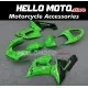 Kawasaki ZX-6R 636 2005-2006 Fairing P/N 4D23