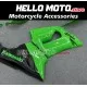 Kawasaki ZX-6R 636 2005-2006 Fairing P/N 4D23
