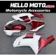 Kawasaki ZX-6R 636 2007-2008 Fairing P/N 4E8