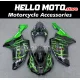 Kawasaki ZX-6R 636 2007-2008 Fairing P/N 4E14 Kawasaki ZX-6R 636 2007-2008 Fairing P/N 4E14