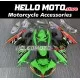 Kawasaki ZX-6R 636 2009-2012 Fairing P/N 4F4