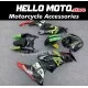 Kawasaki ZX-6R 636 2009-2012 Fairing P/N 4F16