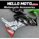 Kawasaki ZX-6R 636 2009-2012 Fairing P/N 4F17