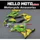 Kawasaki ZX-6R 636 2013-2018 Fairing P/N 4G11