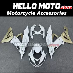 Kawasaki ZX-6R 636 2013-2018 Fairing P/N 4G16