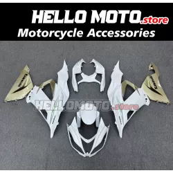 Kawasaki ZX-6R 636 2013-2018 Fairing P/N 4G16
