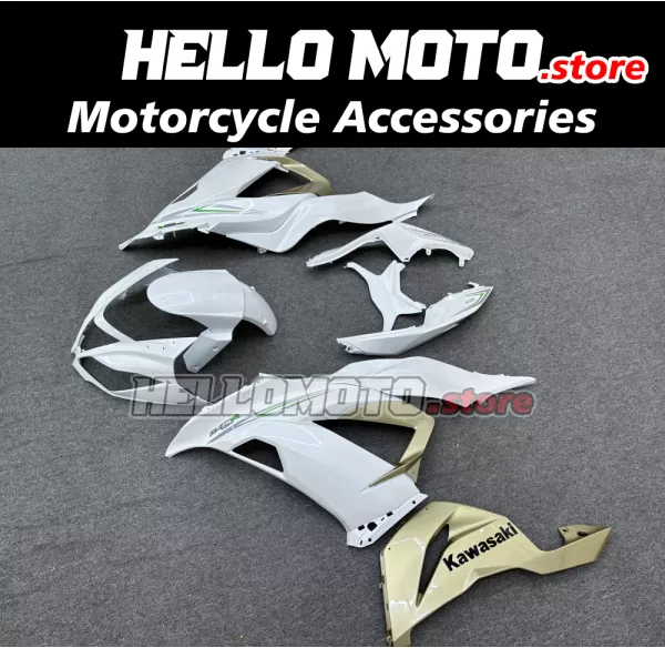 Kawasaki ZX-6R 636 2013-2018 Fairing P/N 4G16
