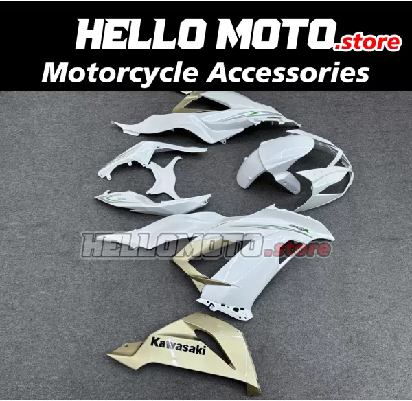 Kawasaki ZX-6R 636 2013-2018 Fairing P/N 4G16