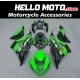 Kawasaki ZX-6R 636 2013-2018 Fairing P/N 4G5