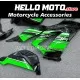 Kawasaki ZX-6R 636 2013-2018 Fairing P/N 4G5