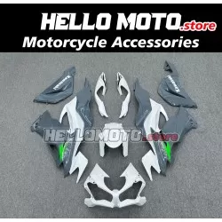 Kawasaki ZX-6R 636 2019-2022 Fairing P/N 4H18