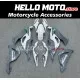 Kawasaki ZX-6R 636 2019-2022 Fairing P/N 4H18