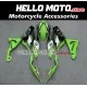 Kawasaki ZX-6R 636 2023-2026 Fairing P/N 4BW4