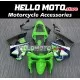 Kawasaki ZX-6R 636 1998-1999 Fairing P/N 4A1