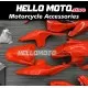 Kawasaki Ninja 250R 2008-2012 Fairing P/N 4V2