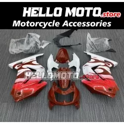 Kawasaki Ninja 250R 2008-2012 Fairing P/N 4V3