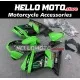 Kawasaki Ninja 250R 2008-2012 Fairing P/N 4V4