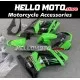 Kawasaki Ninja 250R 2008-2012 Fairing P/N 4V4
