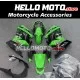 Kawasaki Ninja 250R 2008-2012 Fairing P/N 4V4