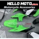 Kawasaki Ninja 250R 2008-2012 Fairing P/N 4V7 Kawasaki Ninja 250R 2008-2012 Fairing P/N 4V7
