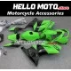 Kawasaki Ninja 250R 2008-2012 Fairing P/N 4V8